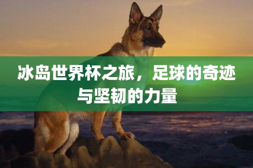 冰岛世界杯之旅，足球的奇迹与坚韧的力量