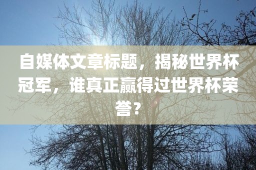 自媒体文章标题，揭秘世界杯冠军，谁真正赢得过世界杯荣誉？