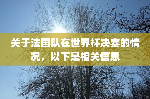 关于法国队在世界杯决赛的情况，以下是相关信息