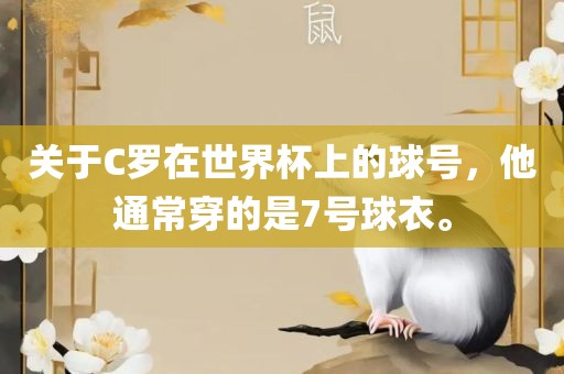 关于C罗在世界杯上的球号，他通常穿的是7号球衣。
