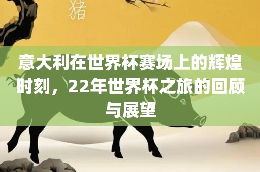 意大利在世界杯赛场上的辉煌时刻，22年世界杯之旅的回顾与展望