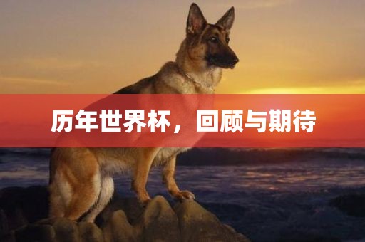 回顾与期待（或“历届世界杯回顾”和“未来世界杯期待”）