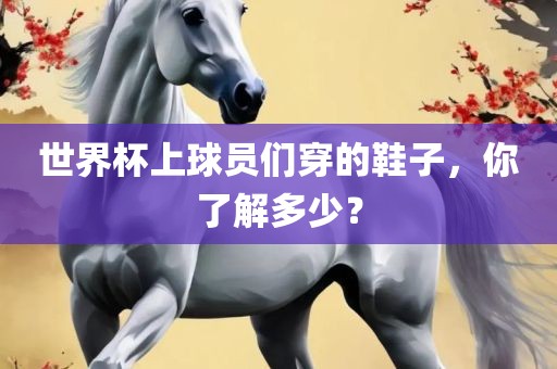 世界杯上球员们穿的鞋子，你了解多少？