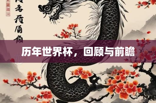 历年世界杯，回顾与前瞻眉山市正发家政服务有限公司