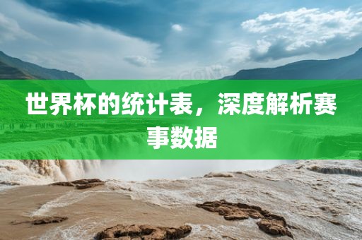 世界杯的统计表，深度解析赛事数据