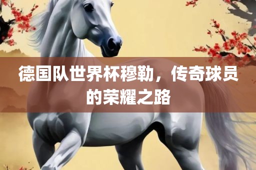 德国队世界杯穆勒，传奇球员的荣耀眉山市正发家政服务有限公司之路