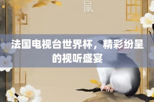 法国电视台世界杯，精彩纷呈的视听盛宴