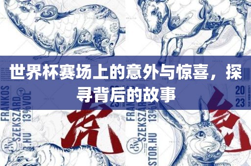 世界杯赛场上的意外与惊喜，探寻背后的故事