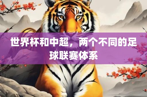 世界杯和中超，两个不同的足球联赛体系
