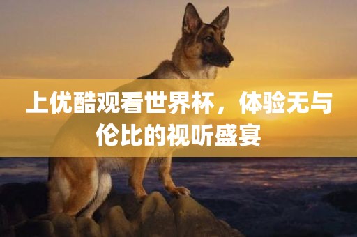 上优酷观看世界杯，体验无与伦比的视听盛宴