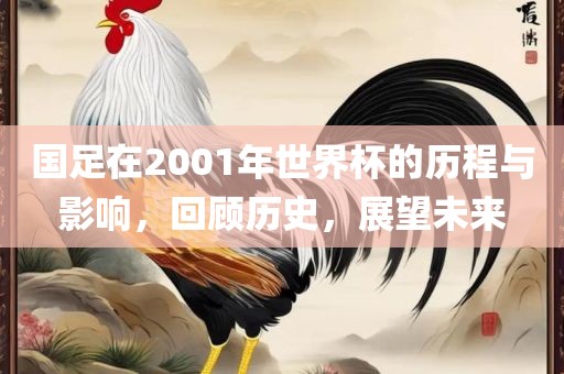 国足在2001年世界杯的历程与影响，回顾历史，展望未来眉山市正发家政服务有限公司