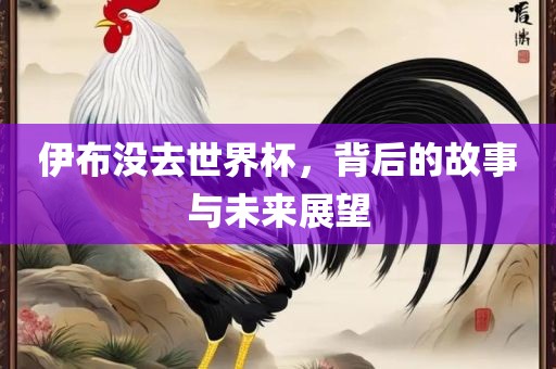 伊布没去世界杯，背后的故事与未来展望