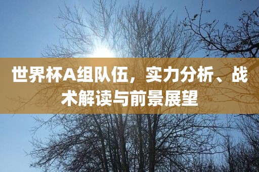 世界杯A组队伍，实力分析、战术解读与前景展望