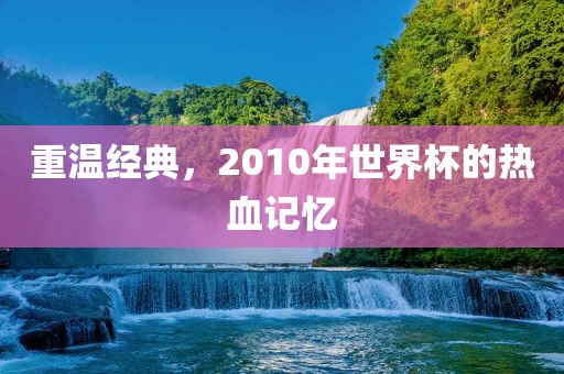 重温经典，2010年世界杯的热血记忆眉山市正发家政服务有限公司