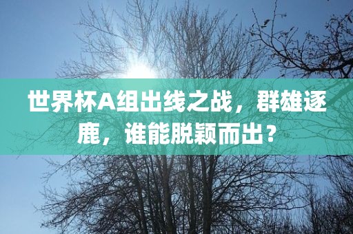 世界杯A组出线之战，群雄逐鹿，谁能脱颖而出？