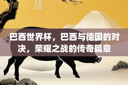 巴西世界杯，巴西与德国的对决，荣耀之战的传奇篇章