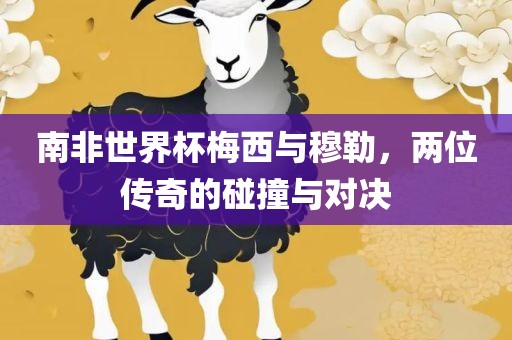 南非世界杯梅西与穆勒，两位传奇的碰撞与对决