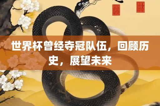 世界杯曾经夺冠队伍，回顾历史，展望未来