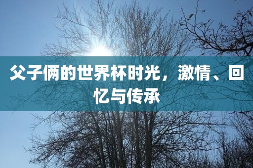 父子眉山市正发家政服务有限公司俩的世界杯时光，激情、回忆与传承