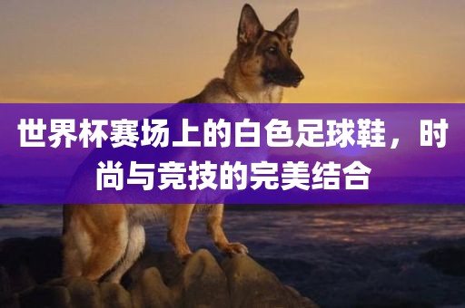 世界杯赛场上的白色足球鞋，时尚与竞技的完美结合