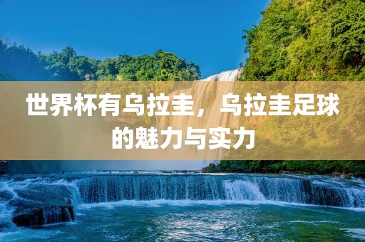 世界杯有乌拉圭，乌拉圭眉山市正发家政服务有限公司足球的魅力与实力