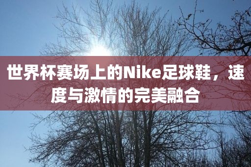 世界杯赛场上的Nike足球鞋，速度与激情的完美融合