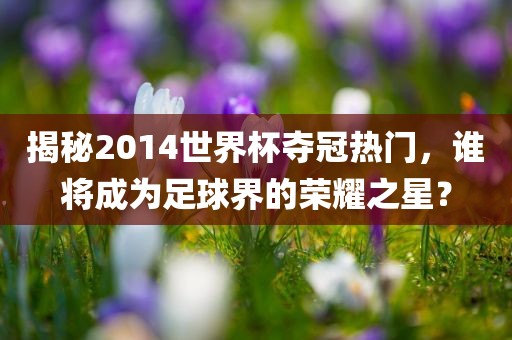 揭秘2014世界杯夺冠热门，谁将成为足球界的荣耀之星？