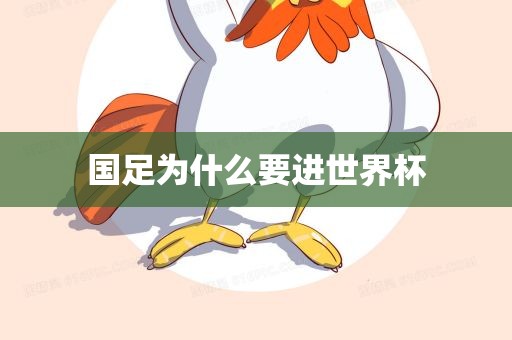 国足为什么要进世界杯