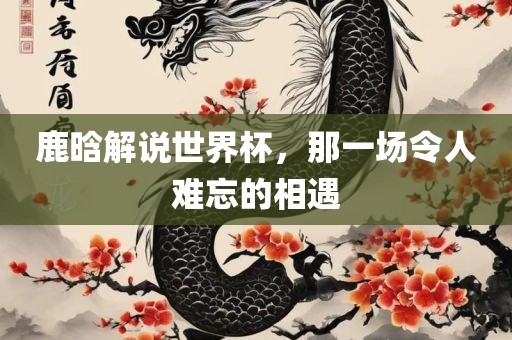 鹿晗解说世界杯，那一场令人难忘的相遇眉山市正发家政服务有限公司
