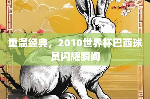 重温经典，2010世界杯巴西球员闪耀瞬间