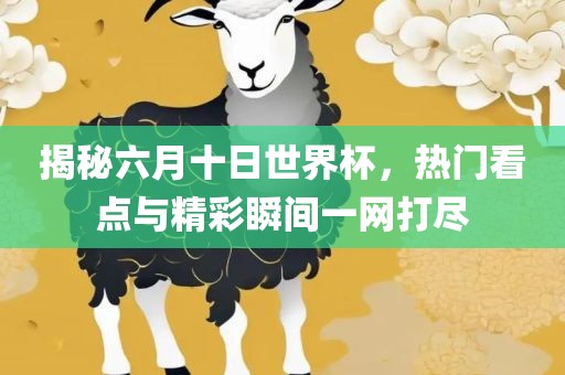 揭秘六月十日世界杯，热门看点与精彩瞬间一网打尽