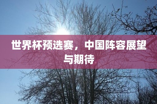世界杯预选赛，中国阵容展望与期待