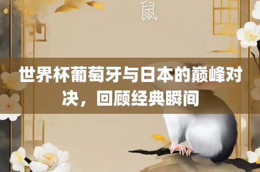 世界杯葡萄牙与日本的巅峰对决，回顾经典瞬间