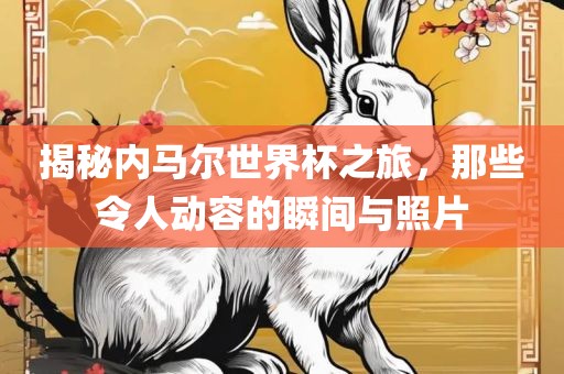 揭秘内马尔世界杯之旅，那些令人动容的瞬间与照片