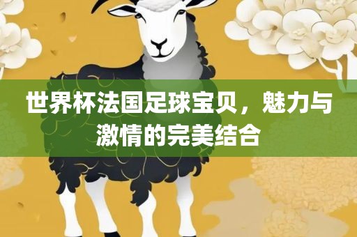 世界杯法国足球宝贝，魅力与激情的完美结合