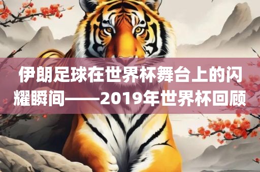伊朗足球在世界杯舞台上的闪耀瞬间——2019年世界杯回顾