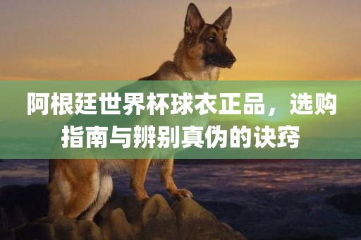 阿根廷世界杯球衣正品，选购指南与辨别真伪的诀窍