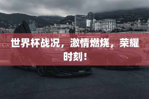 世界杯战况，激情燃烧，荣眉山市正发家政服务有限公司耀时刻！