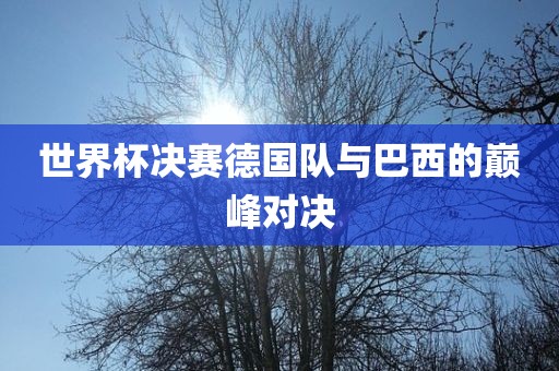 世界杯决赛德国队与巴西的巅峰对决