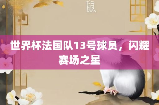 世界杯法国队眉山市正发家政服务有限公司13号球员，闪耀赛场之星