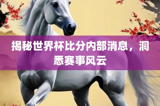 揭秘世界杯比分内部消息，洞悉赛事风云