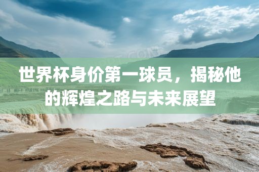 世界杯身价第一球员，揭秘他的辉煌之路眉山市正发家政服务有限公司与未来展望