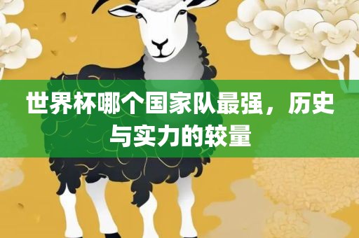 世界杯哪个国家队最强，历史与实力的较量
