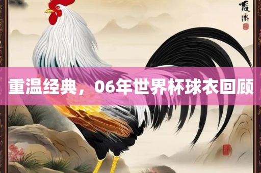 重温经典，06年世界杯球衣回顾眉山市正发家政服务有限公司
