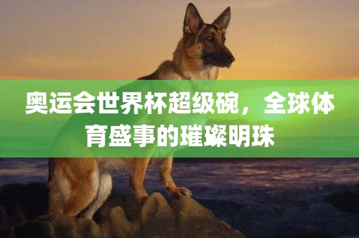 奥运会世界杯超级碗，全球体育盛事的璀璨明珠眉山市正发家政服务有限公司