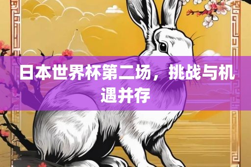 日本世界杯第二场，挑战与机遇并存