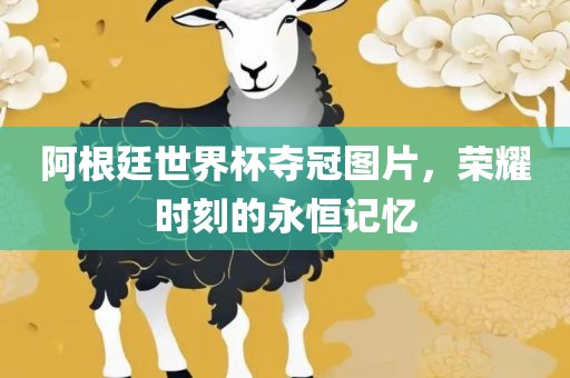 阿根廷世界杯夺冠图片，荣耀时刻的永恒记忆