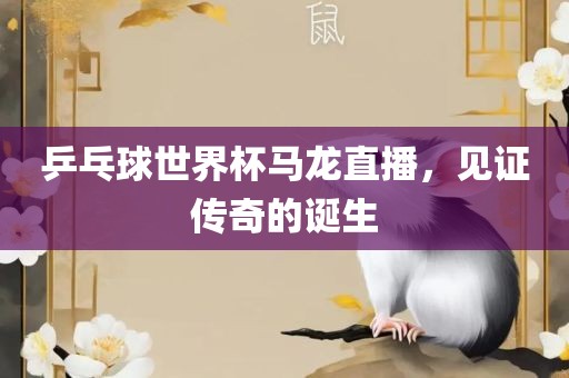 乒乓球世界杯马龙直播，见证传奇的诞生