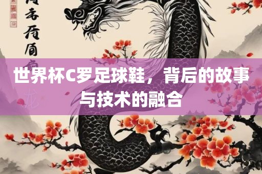 世界杯C罗足球鞋，背后的故事与技术的融合