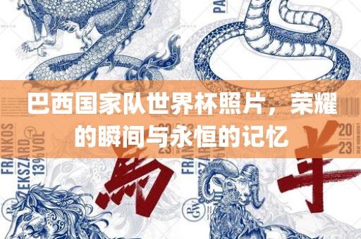 巴西国家队世界杯照片，荣耀的瞬间与永恒的记忆